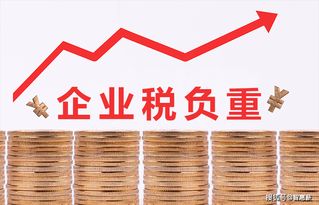 税收筹划公司进行合理节税的关键考量与专项审计要点
